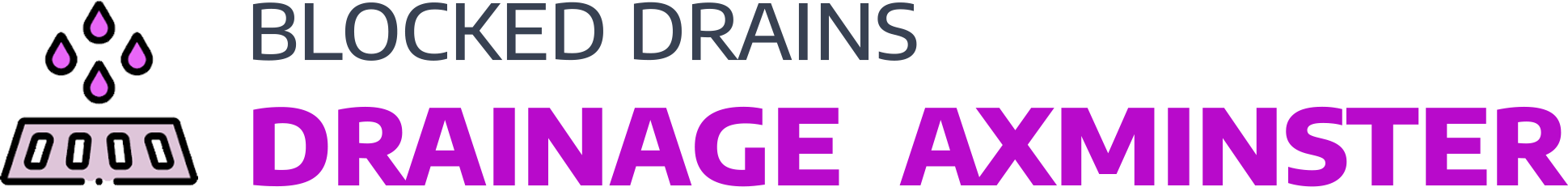 website logo